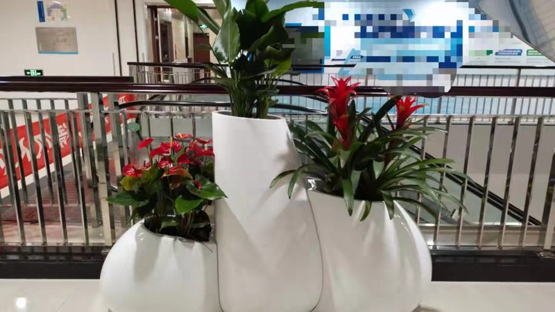 深圳市花海园林花卉有限公司